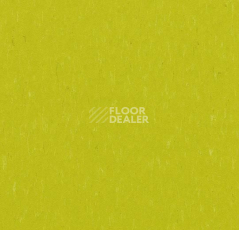 Линолеум Forbo Marmoleum Solid Piano 3646-364635 young grass фото 1 | FLOORDEALER